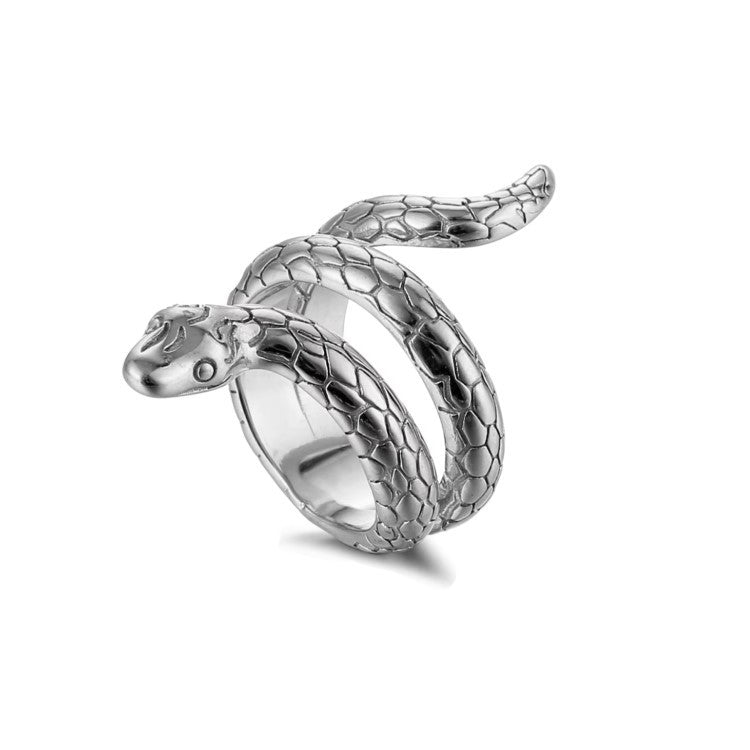 Stainless steel silver snake ring with matte finish and detailed snake design.